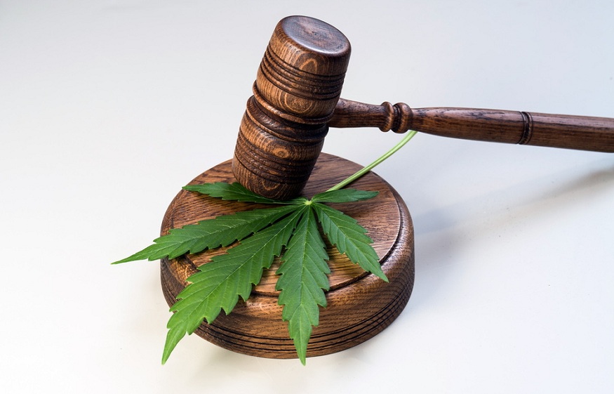 Cannabis Legislation