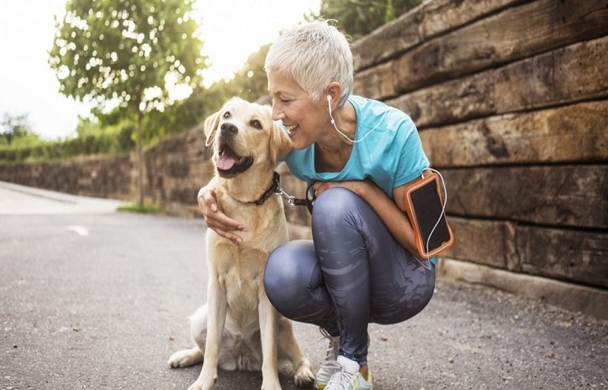 suggested CBD dog treats